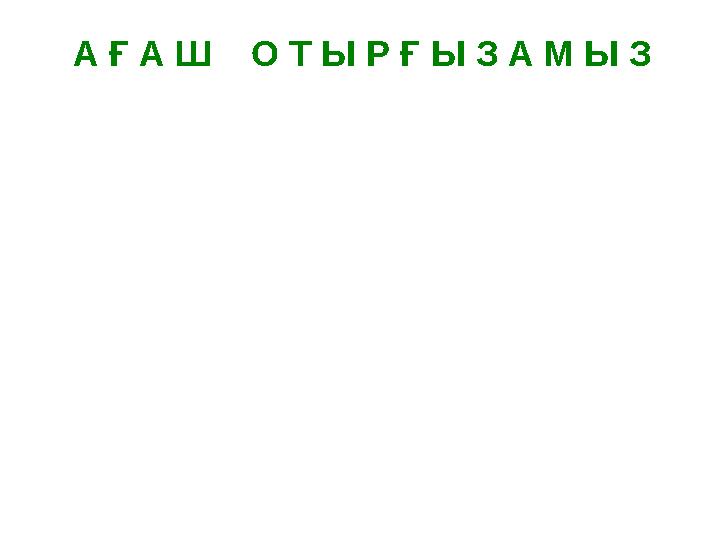 А Ғ А Ш О Т Ы Р Ғ Ы З А М Ы З