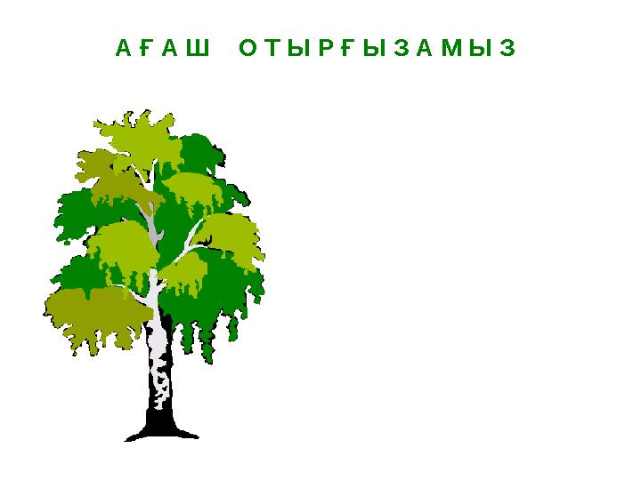 А Ғ А Ш О Т Ы Р Ғ Ы З А М Ы З