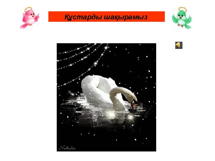 Құстарды шақырамыз