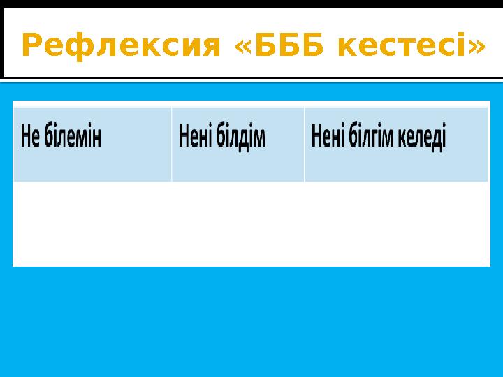 Рефлексия «БББ кестесі»
