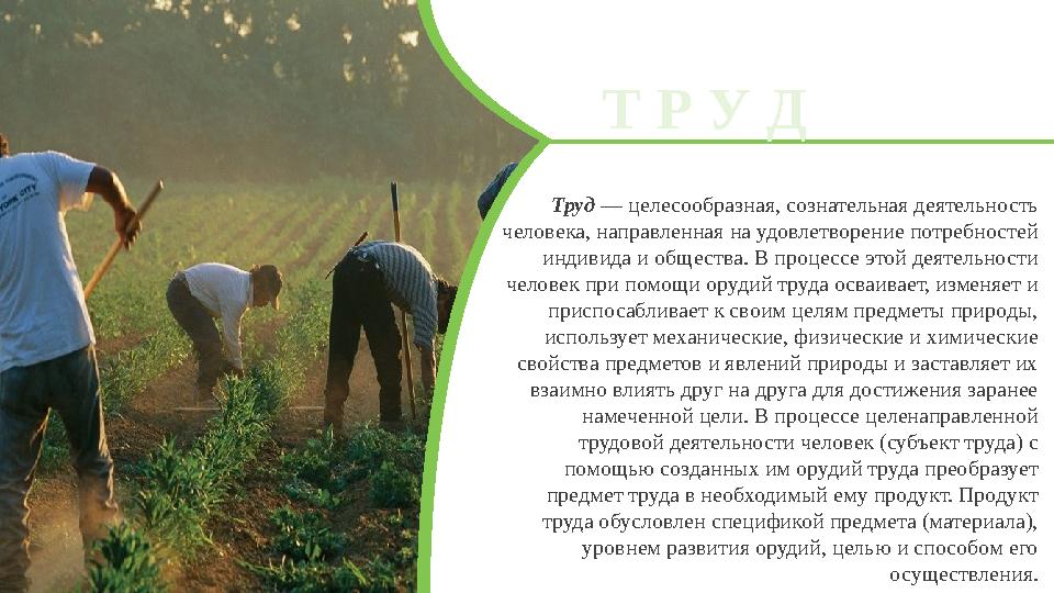 Труд — целесообразная, сознательная деятельность человека, направленная на удовлетворение потребностей индивида и общества. В