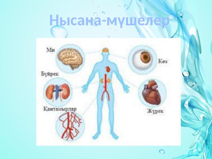 Нысана-мүшелер