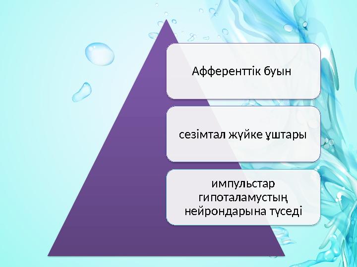 Афференттік буын сезімтал жүйке ұштары импульстар гипоталамустың нейрондарына түседі