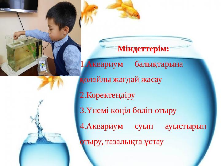 Міндеттерім: 1.Аквариум балықтарына қолайлы жағдай жасау 2.Коректендіру 3.Үнемі көңіл бөліп отыру 4.Аквариум суын ауысты