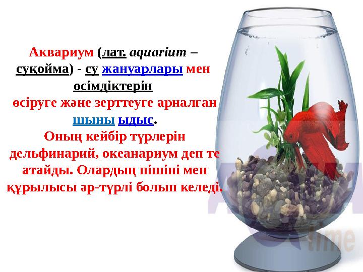 Аквариум ( лат. aquarium – суқойма ) - су жануарлары мен өсімдіктерін өсіруге және зерттеуге арналған шыны ыдыс