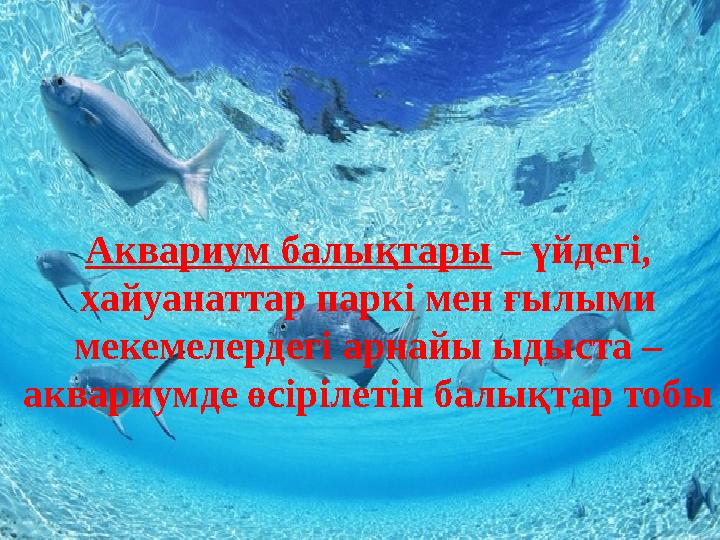 Аквариум балықтары – үйдегі, хайуанаттар паркі мен ғылыми мекемелердегі арнайы ыдыста – аквариумде өсірілетін балықтар тобы