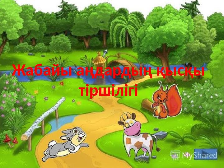 Бұл өте ауыр порно.