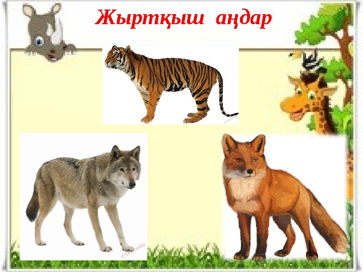Жыртқыш аңдар