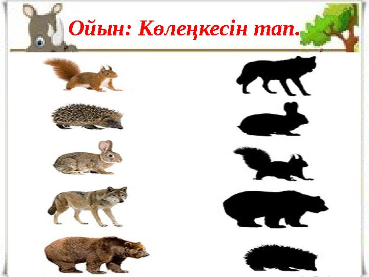 Жалаңаш социалит