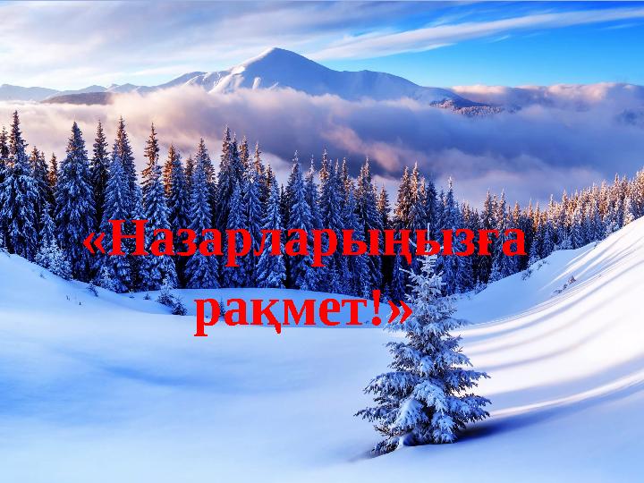 «Назарларыңызға рақмет! » «Назарларыңызға рақмет! »