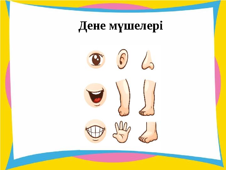 Дене мүшелері