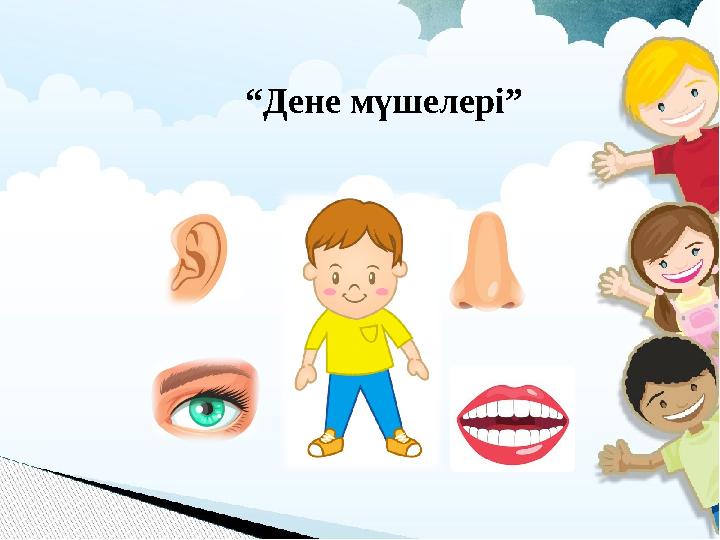 “ Дене мүшелері”