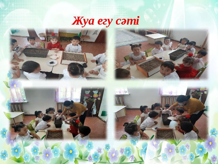 Жуа егу с әті
