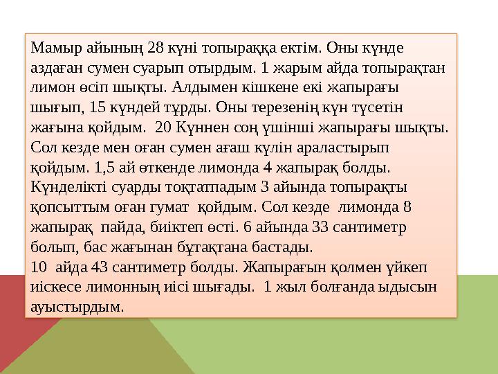 Мамыр айының 28 күні топыраққа ектім. Оны күнде аздаған сумен суарып отырдым. 1 жарым айда топырақтан лимон өсіп шықты. Алдыме