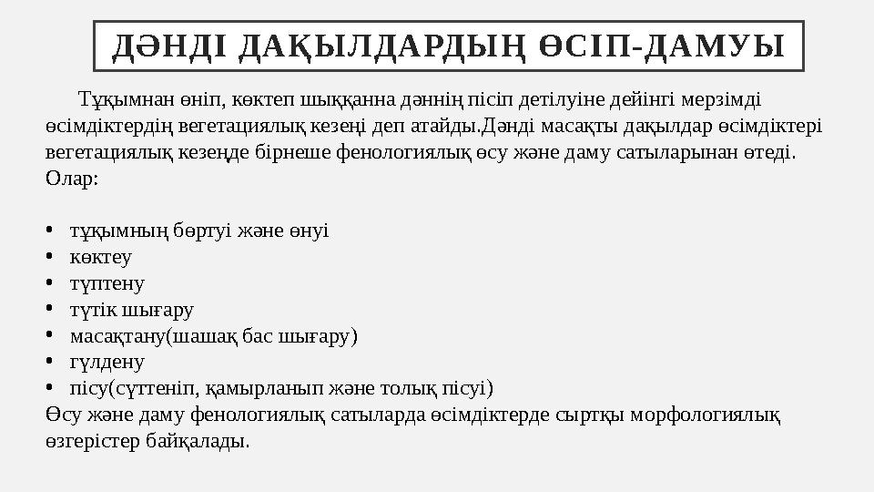 Д Ә Н Д І Д А Қ Ы Л Д А РД Ы Ң Ө С І П - Д А М У Ы Тұқымнан өніп, көктеп шыққанна дәннің пісіп детілуіне дейінгі мерз