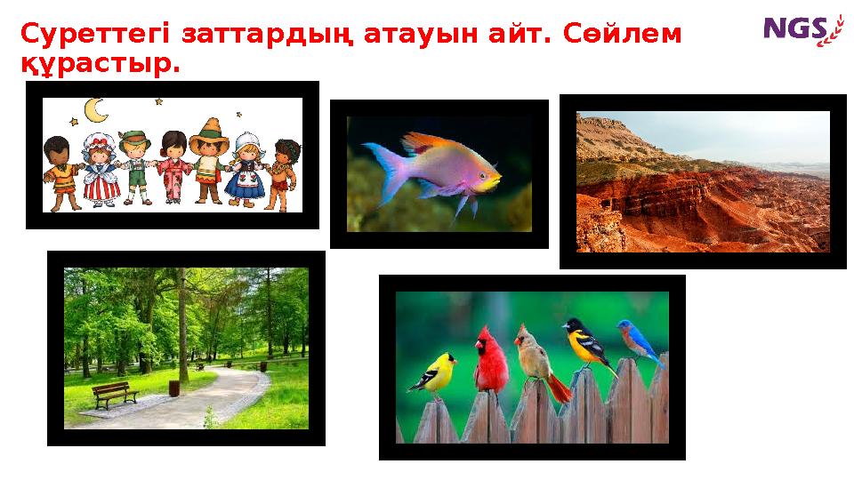 New Generation SchoolСуреттегі заттардың атауын айт. Сөйлем құрастыр.