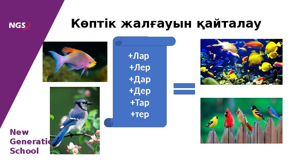 New Generation School Көптік жалғауын қайталау + Лар +Лер +Дар +Дер +Тар +тер