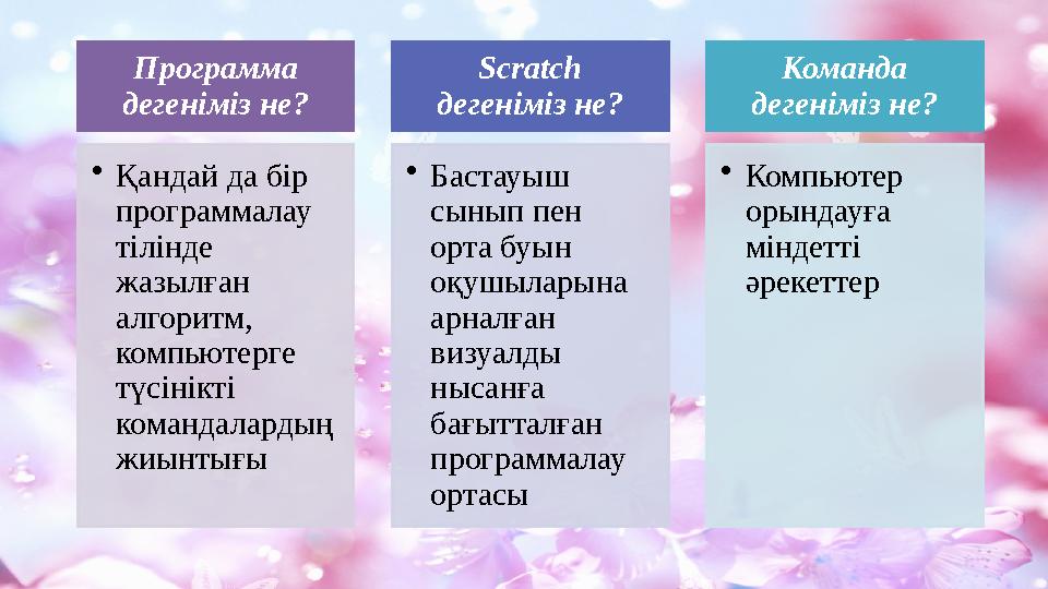 Программа дегеніміз не? • Қандай да бір программалау тілінде жазылған алгоритм, компьютерге түсінікті командалардың жиы