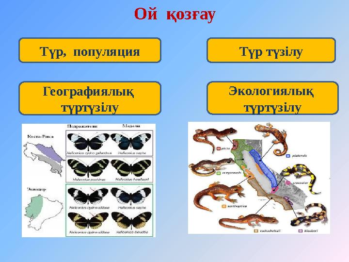 Түр, популяция Түр түзілу Географиялық түртүзілу Экологиялық түртүзілу Ой қозғау