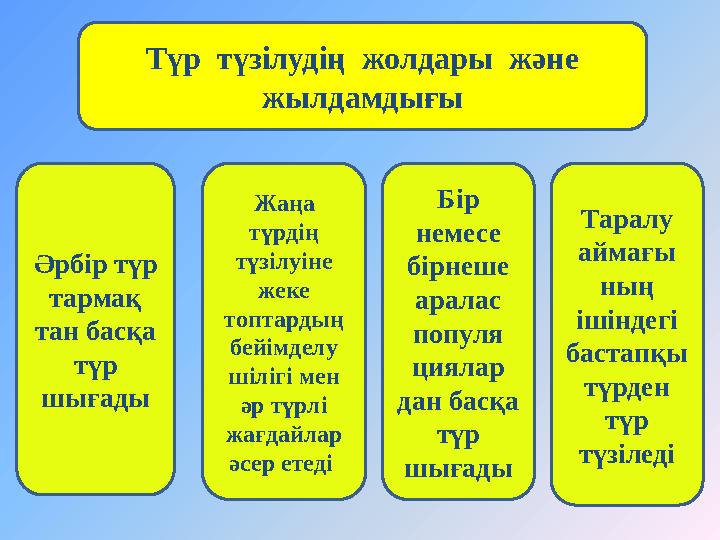 Түр түзілудің жолдары және жылдамдығы Әрбір түр тармақ тан басқа түр шығады Жаңа түрдің түзілуіне жеке топтардың бей
