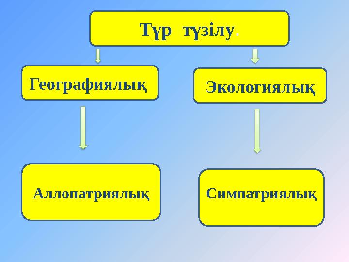 Географиялық Түр түзілу . Экологиялық Аллопатриялық Симпатриялық