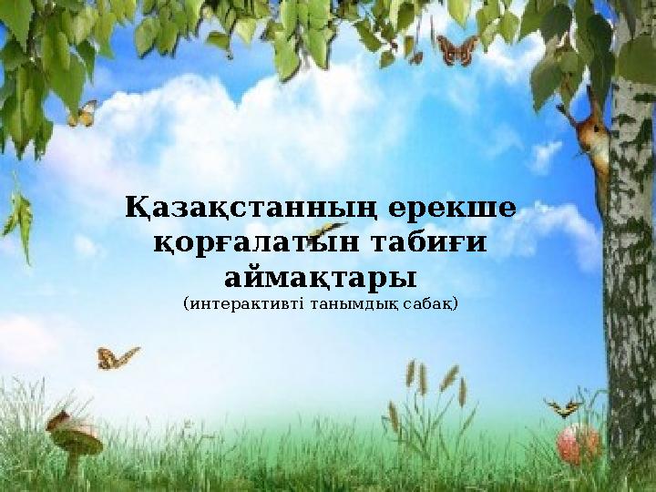 img_page_1