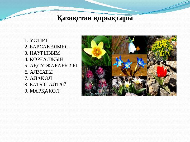 Қазақстан қорықтары 1. ҮСТІРТ 2. БАРСАКЕЛМЕС 3. НАУРЫЗЫМ 4. ҚОРҒАЛЖЫН 5. АҚСУ-ЖАБАҒЫЛЫ 6. АЛМАТЫ 7. АЛАКӨЛ 8. БАТЫС АЛТАЙ 9. МА