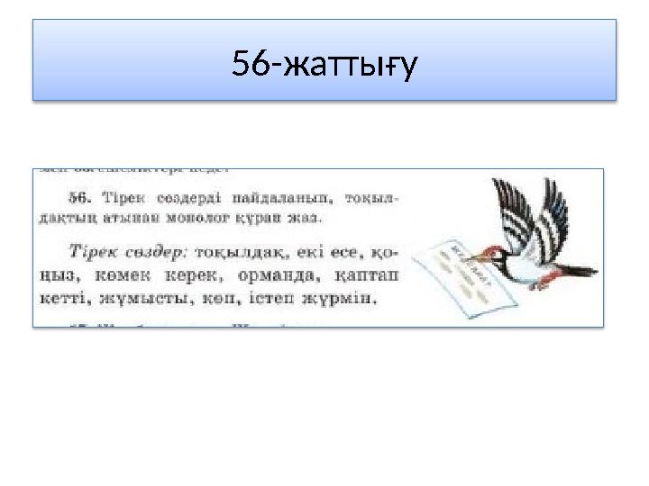 56-жаттығу