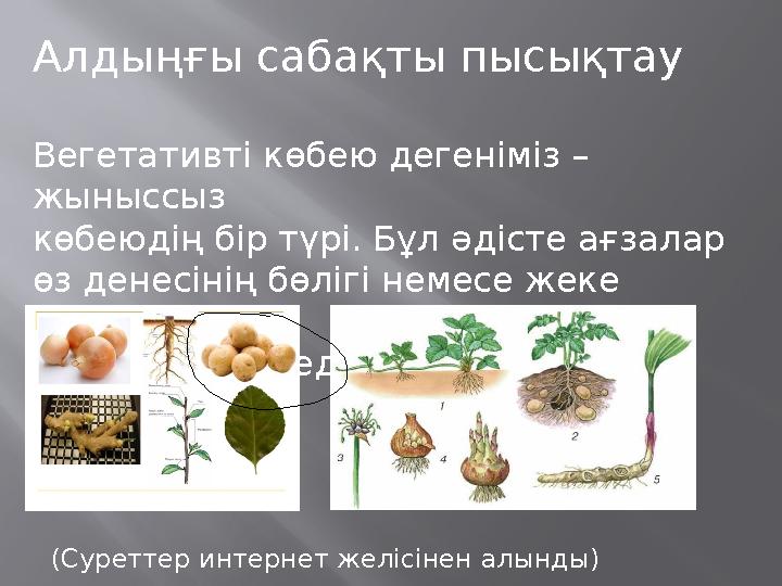 Мен бірінші рет өте сексуалды ресейлік жас әйелді трафик еттім.