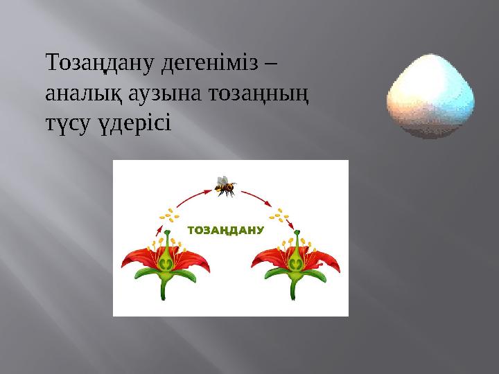 Бөксесін шайқап жатқан порно қыздар