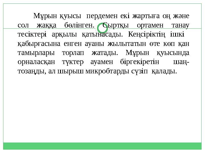 Мұрын қуысы пердемен екі жартыға оң және сол жаққа бөлінген. Сыртқы ортамен танау тесіктері арқы