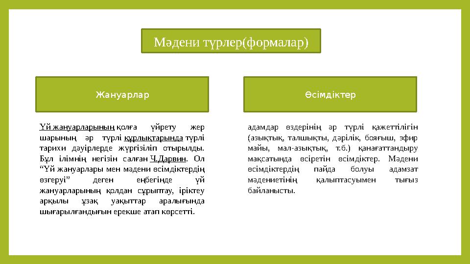 Ұлын қыз етіп киіндірді (порно онлайн)