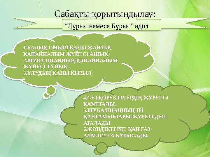 Сабақты қорытындылау: “ Дұрыс немесе Бұрыс” әдісі 1.БАЛЫҚ ОМЫРТҚАЛЫ ЖАНУАР, ҚАНАЙНАЛЫМ ЖҮЙЕСІ АШЫҚ. 2.ШҰБАЛШАҢНЫҢ ҚАНАЙНАЛЫМ Ж