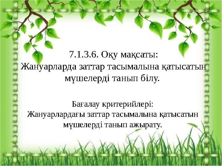 Қытайдың жалаңаш әйелдері Жалаңаш шабандоздар туралы бейне