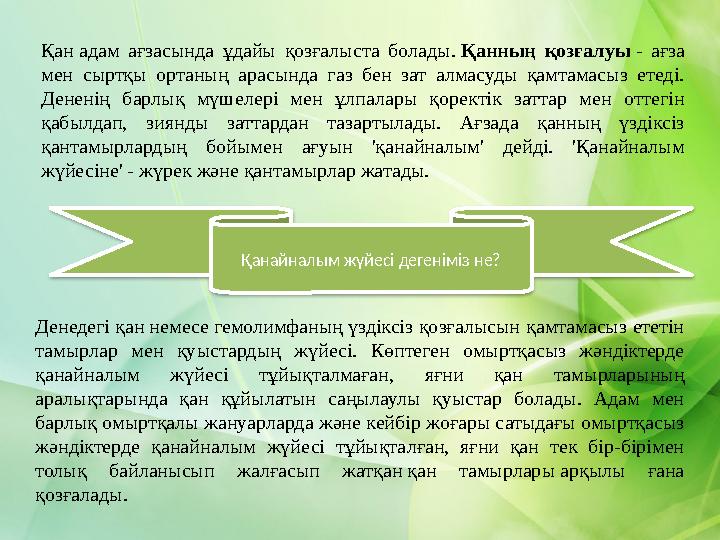 Денедегі қан немесе гемолимфаның үздіксіз қозғалысын қамтамасыз ететін тамырлар мен қуыстардың жүйесі. Көптеген омыртқасыз