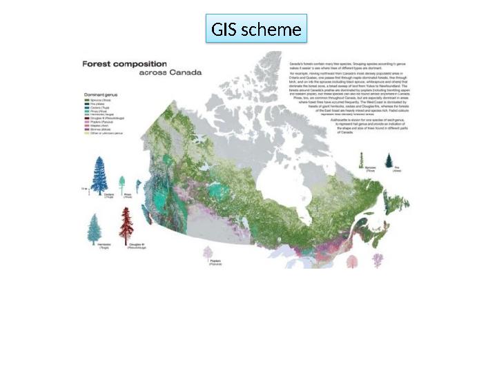 GIS scheme