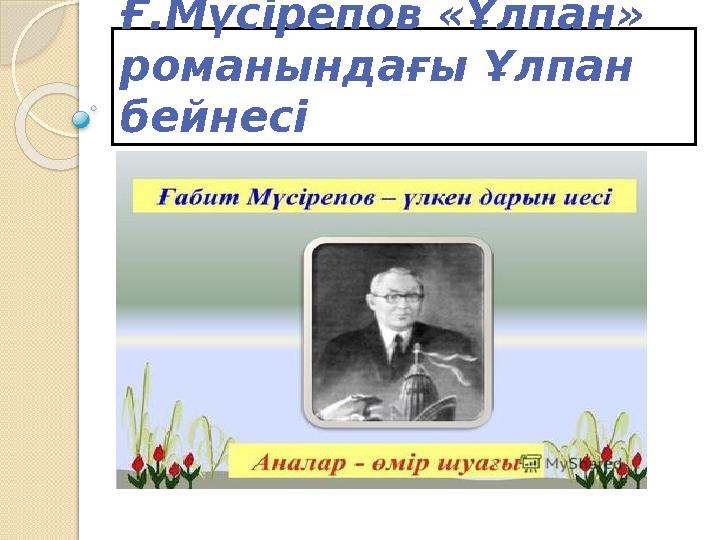 Әзірбайжандық BBW порно