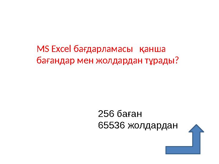 MS Excel бағдарламасы қанша бағандар мен жолдардан тұрады? 256 баған 65536 жолдардан