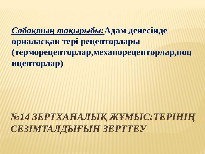 Қыздардың жақын пландағы порносы