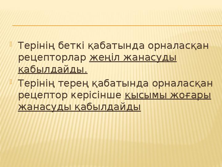  Терінің беткі қабатында орналасқан рецепторлар жеңіл жанасуды қабылдайды.  Терінің терең қабатында орналасқан рецептор ке