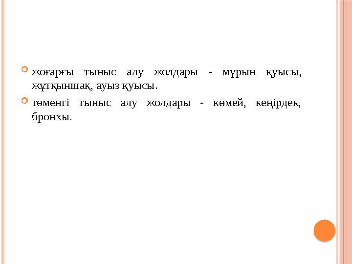  жоғарғы тыныс алу жолдары - мұрын қуысы, жұтқыншақ, ауыз қуысы.  төменгі тыныс алу жолдары - көмей, кеңірдек, б