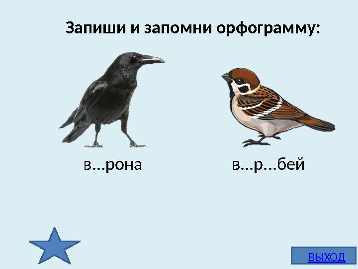 Запиши и запомни орфограмму: в о рона в о р о бейв...рона в ... р ... бей ВЫХОД