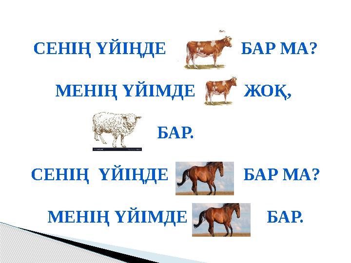 СЕНІҢ ҮЙІҢДЕ БАР МА? МЕНІҢ ҮЙІМДЕ ЖОҚ, БАР. СЕНІҢ ҮЙІҢДЕ БАР МА? МЕНІҢ ҮЙІМДЕ