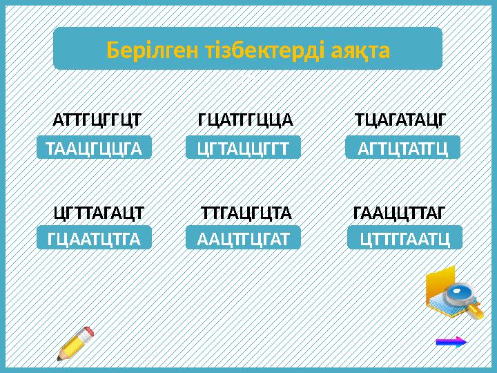 АТТГЦГГЦТ ГЦАТГГЦЦА ТЦАГАТАЦГ ЦГТТАГАЦТ ТТГАЦГЦТА ГААЦЦТТАГ ТТт
