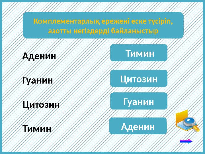Аденин ТиминКомплементарлық ережені еске түсіріп, азотты негіздерді байланыстыр Гуанин Цитозин Тимин Цитозин Гуанин Аденин