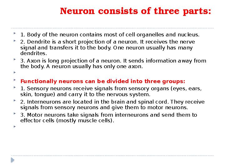 Neuron consists of three parts:  1. Body of the neuron contains most of cell organelles and nucleus.  2 . Dendrite is a sh