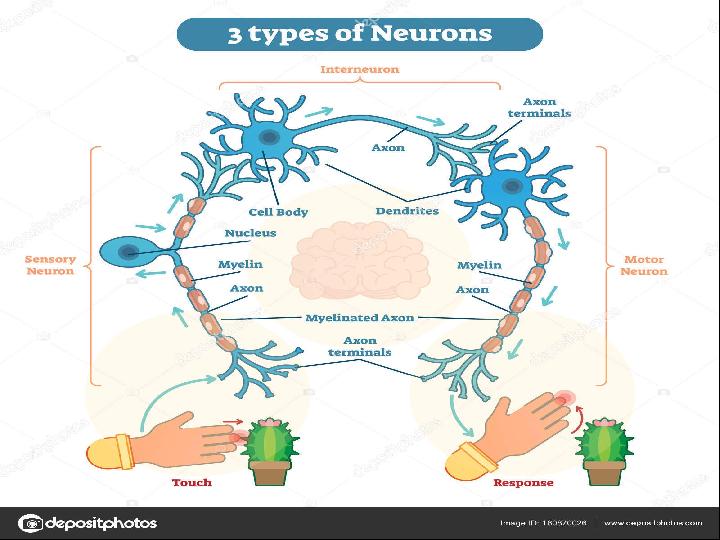 Ibiza қыздарының жеке эротикалық фотосуреттері
