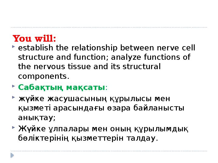 Қынаптардың түрлері мен пішіндері
