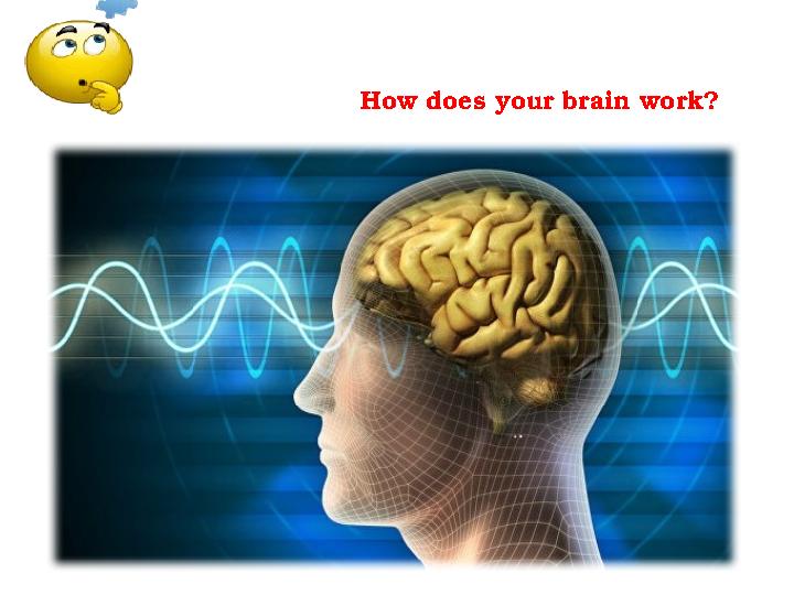 How does your brain work?