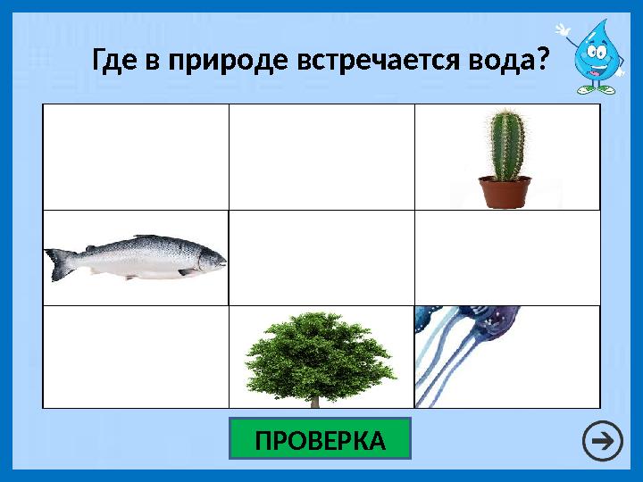 ПРОВЕРКАГде в природе встречается вода?